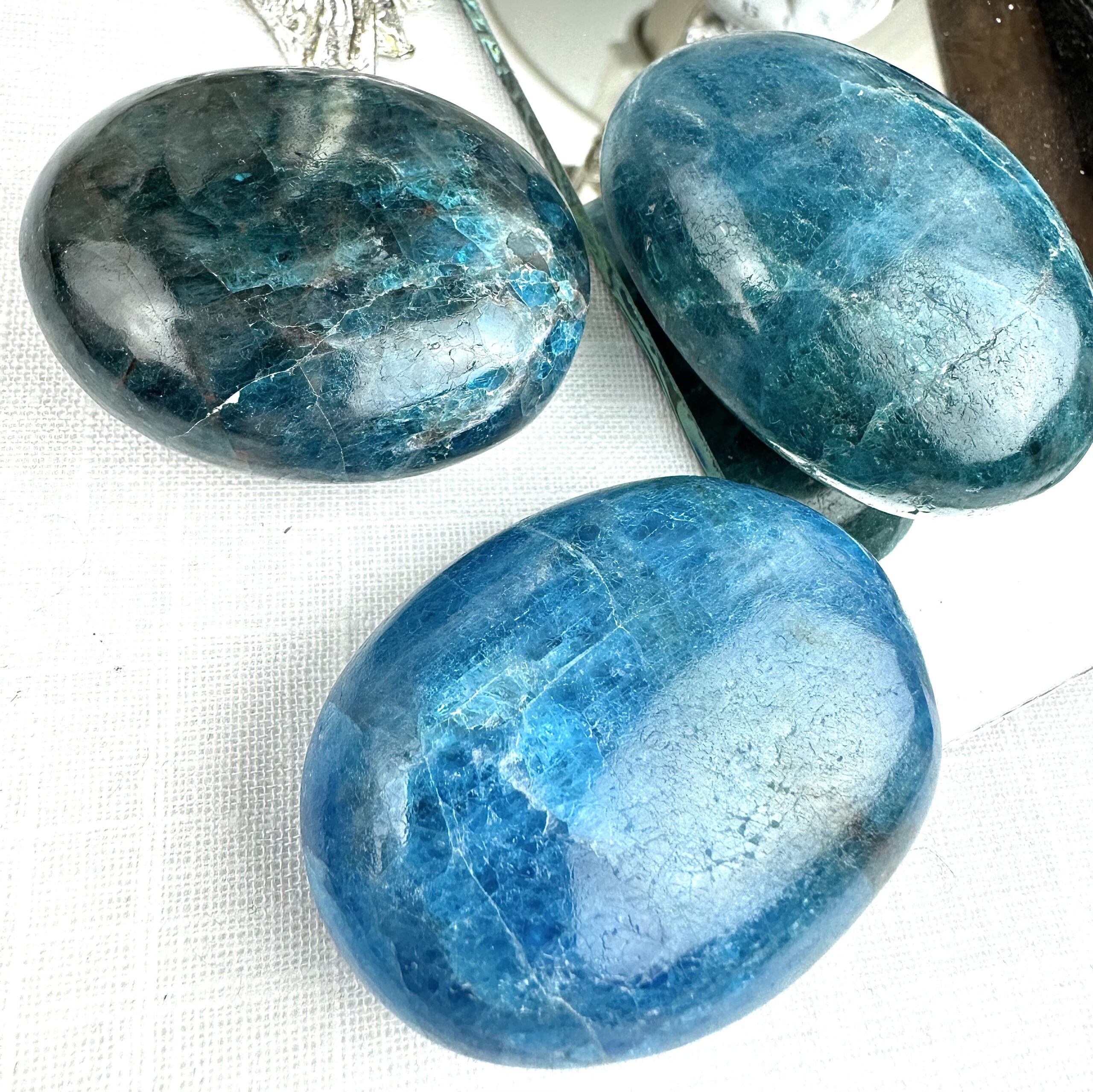 Qiz meni oz mushukini yalashga majbur qildi onlayn